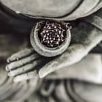receptivity